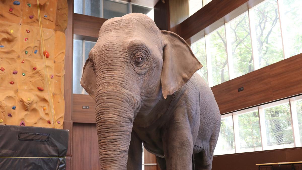 Animatronic elephant to visit schools in Hyderabad to teach empathy