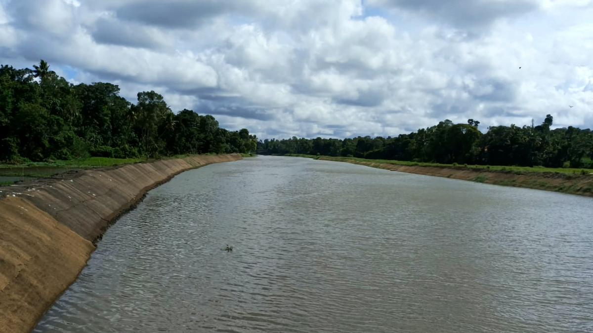 Back to life: Rejuvenation of Kuttamperoor river in Alappuzha complete