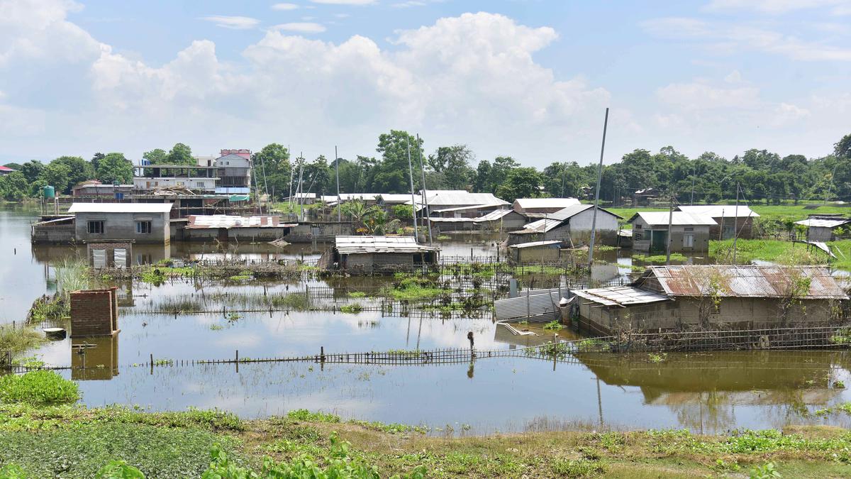 Assam flood situation improving