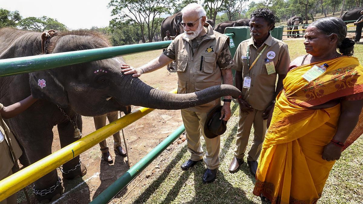 Prime Minister Modi interacts with ‘Elephant Whisperers’ Bomman, Bellie at Theppakadu Elephant Camp in the Nilgiris