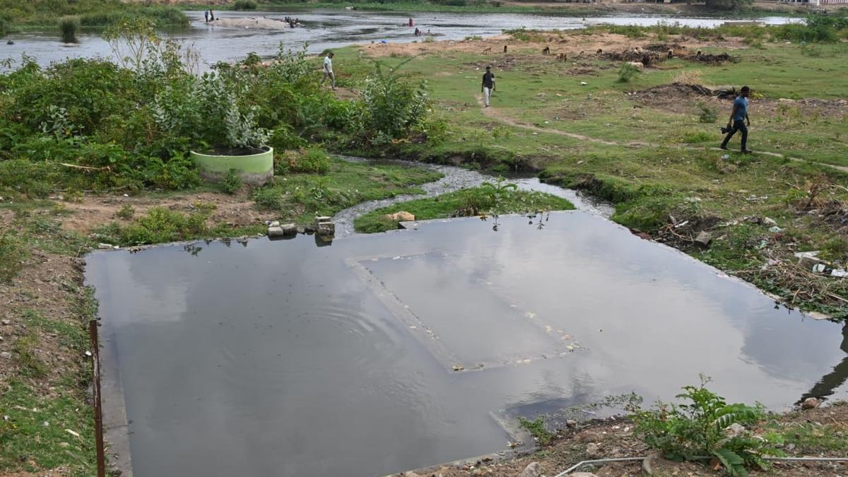 TNPCB sends second show cause notice to Tirunelveli Corporation for river pollution