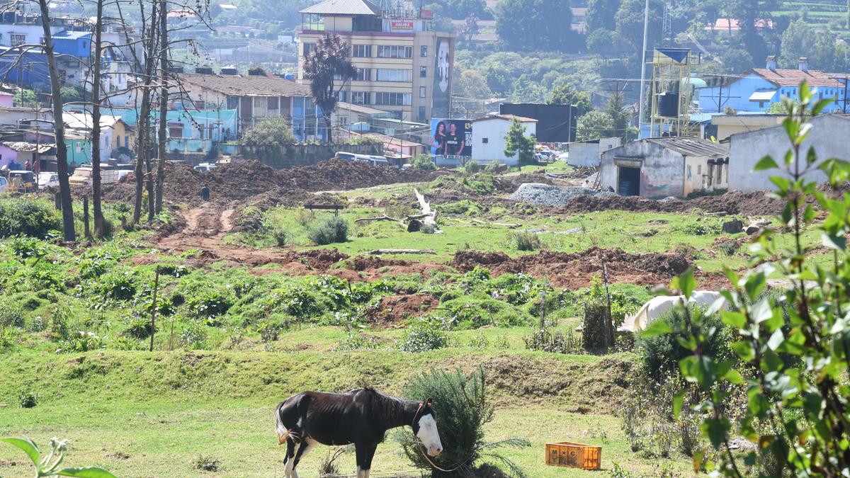 Demand mounts to stop construction surrounding Ooty lake following NGT intervention