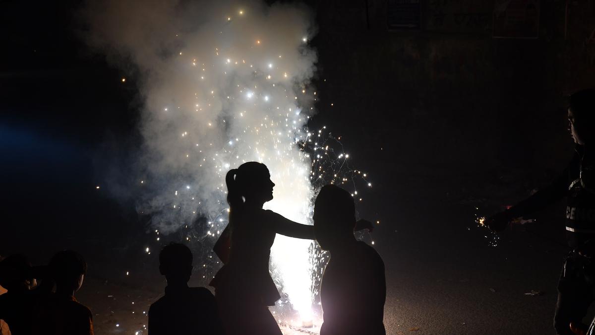 Punjab to allow only green firecrackers in festivals 