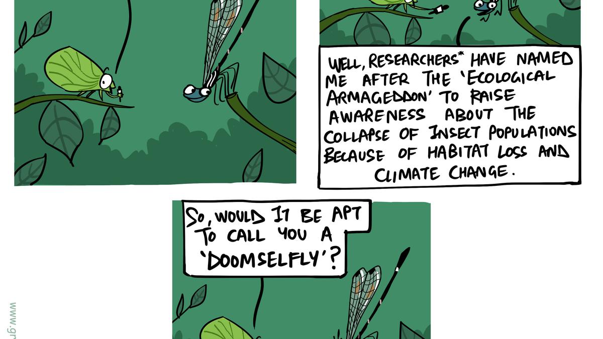Green Humour by Rohan Chakravarty on new damselfly species in Western Ghats and call for climate action