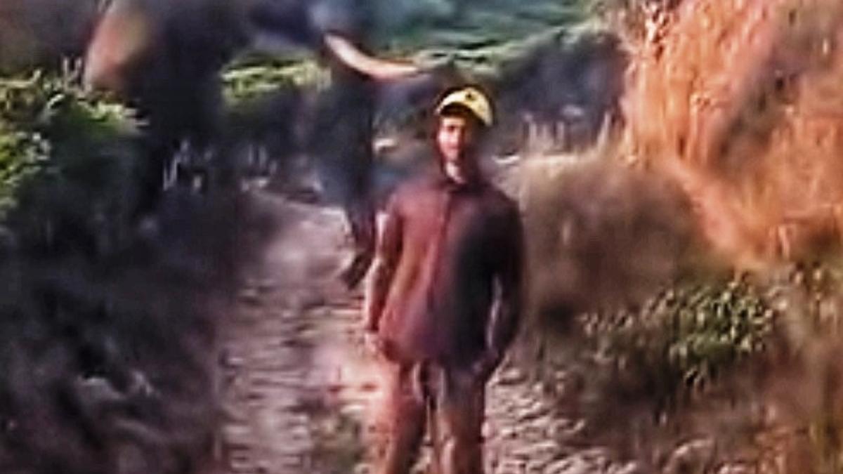 Forest dept. files case against men for provoking wild tusker in Munnar