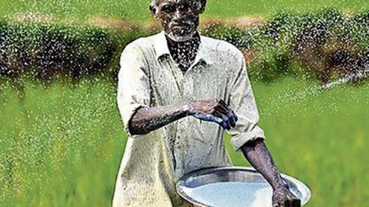 Urea use stable despite 36% rise in cropped area in A.P.