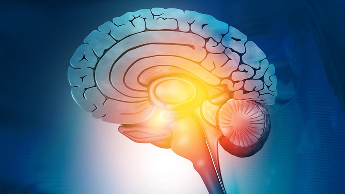 COVID-19’s hidden toll: how the pandemic has aged our brains