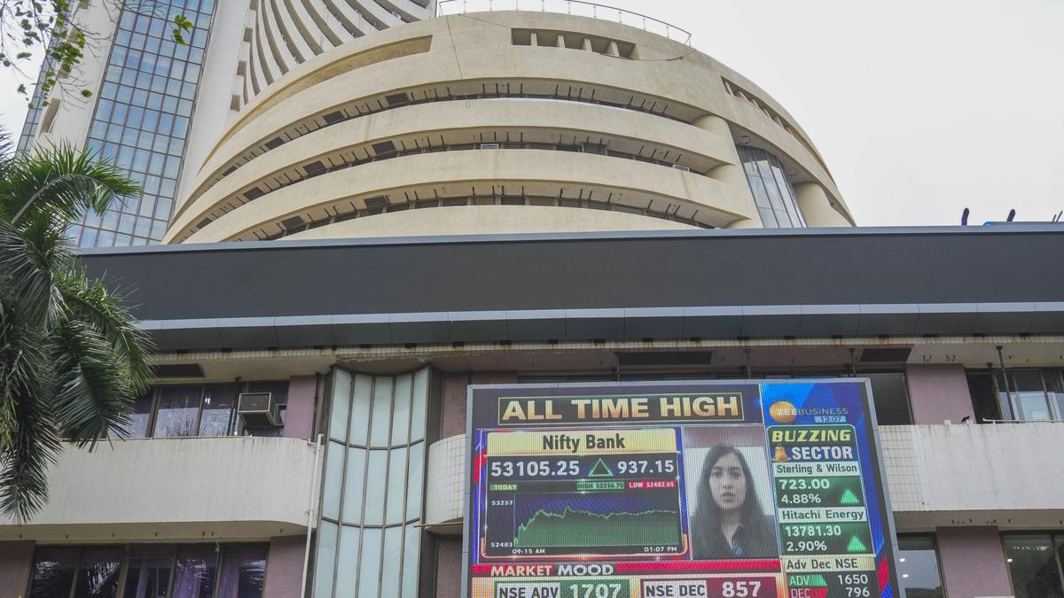 Sensex breaches 81,000 mark, Nifty scales 24,800 peak on gains in IT, FMCG shares