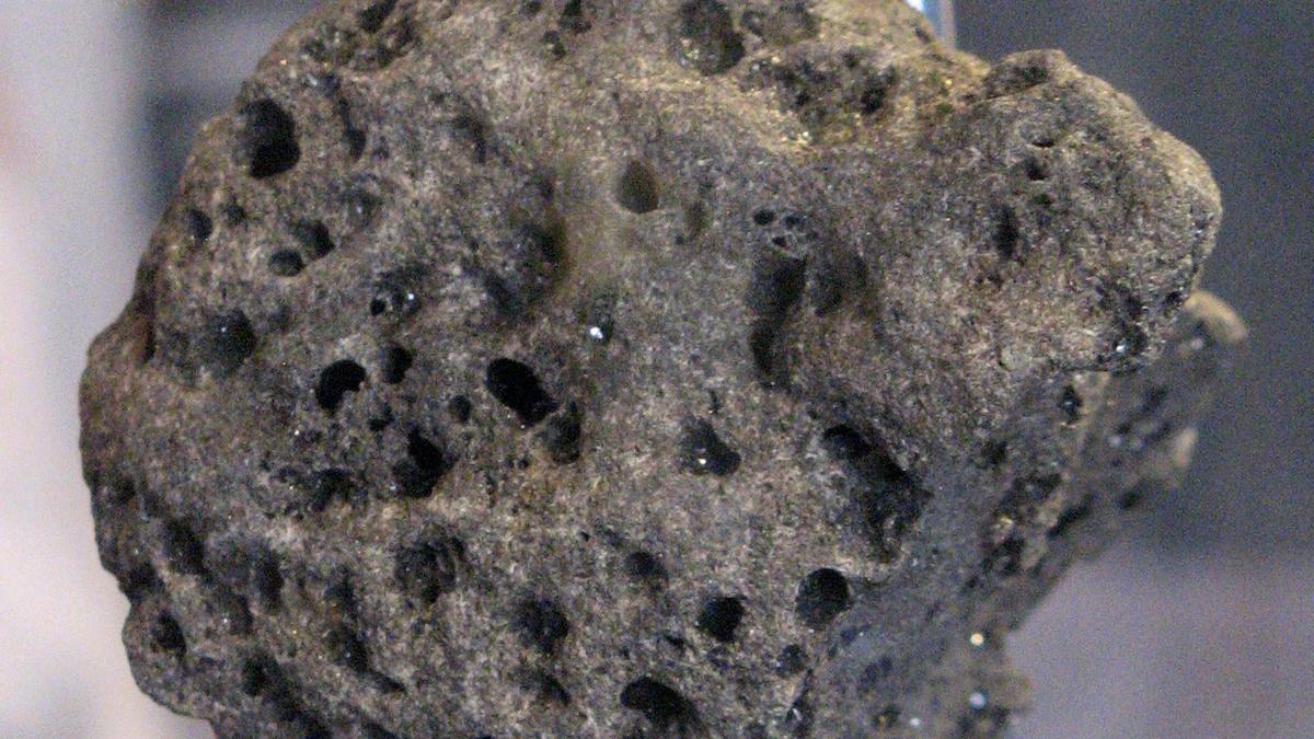 Daily Quiz | On the first moon landing​