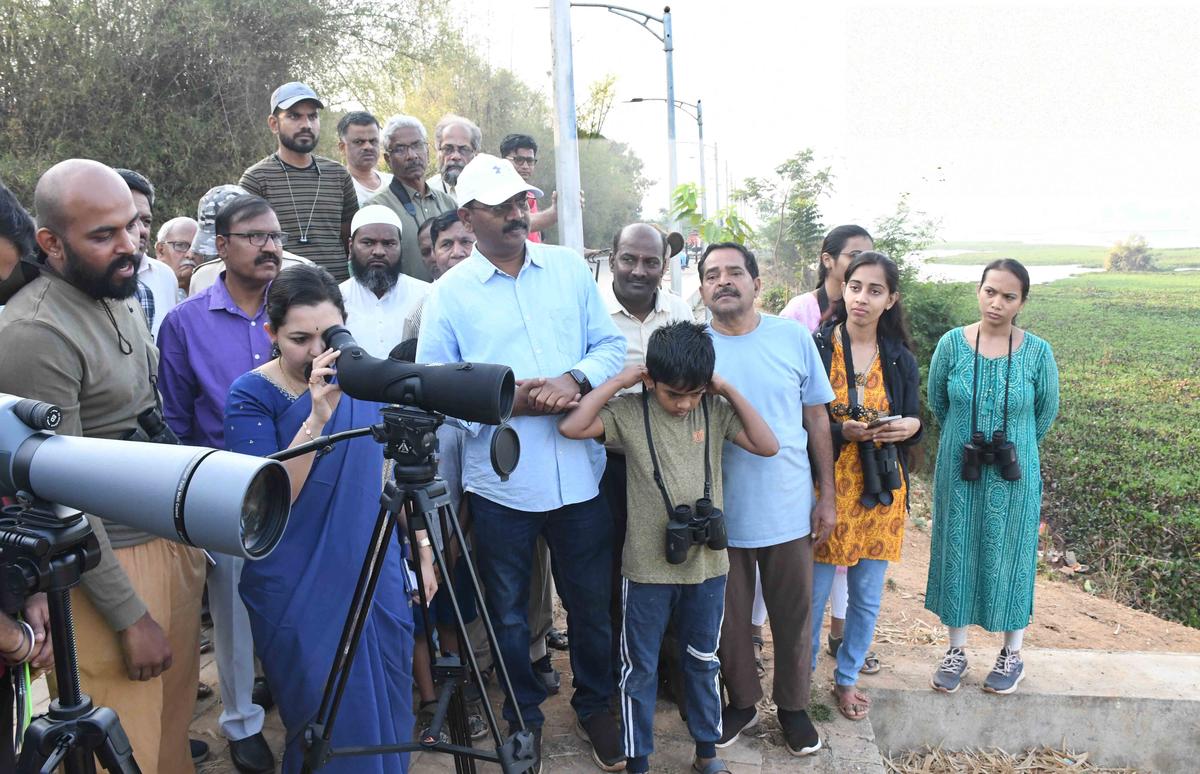 Deputy Commissioner Divya Prabhu G.R.J. taking part in a bird census being carried out in Dharwad on Monday.