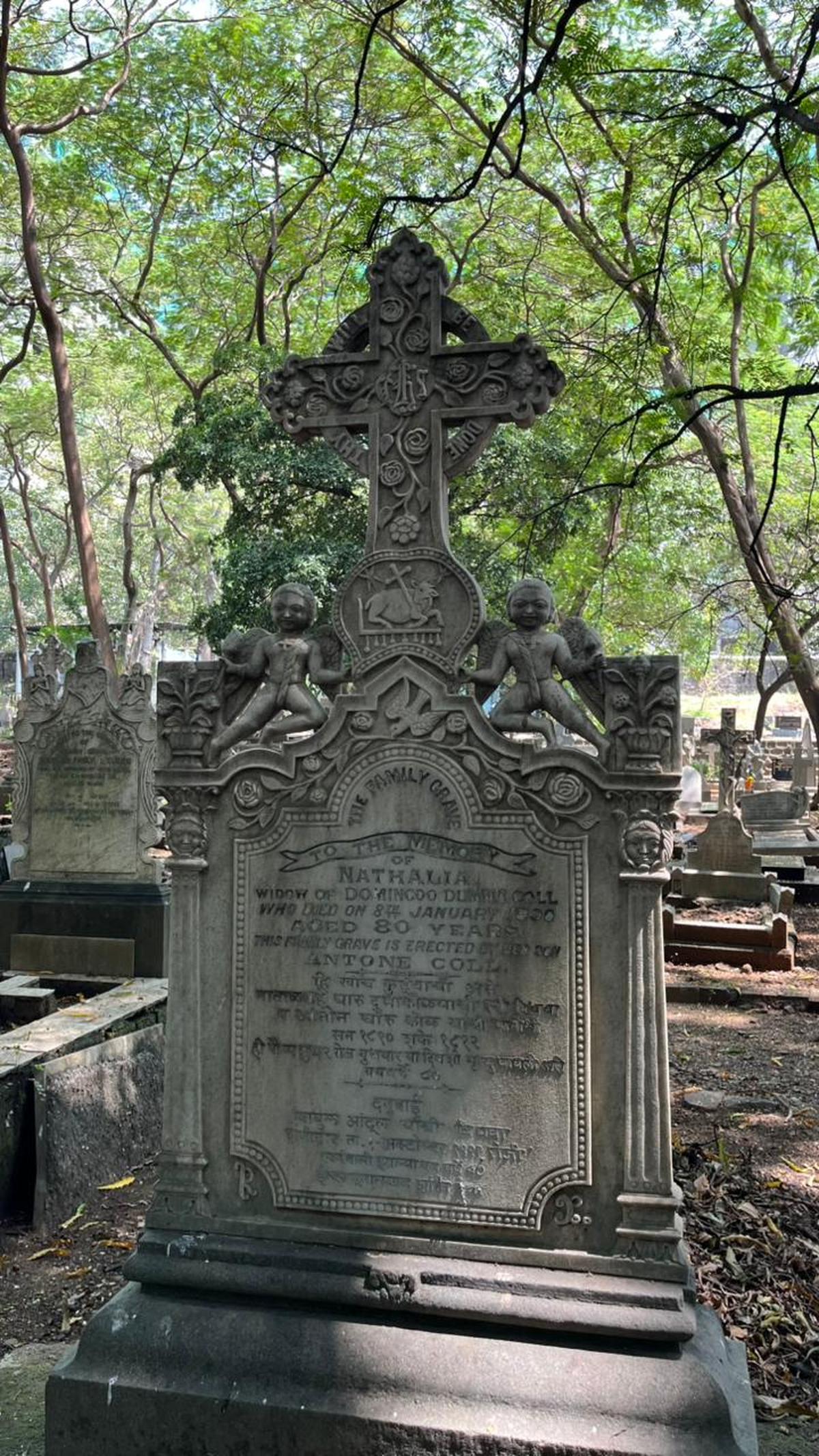 A flor de lis ou cruz de lírio A flor de lis ou cruz de lírio