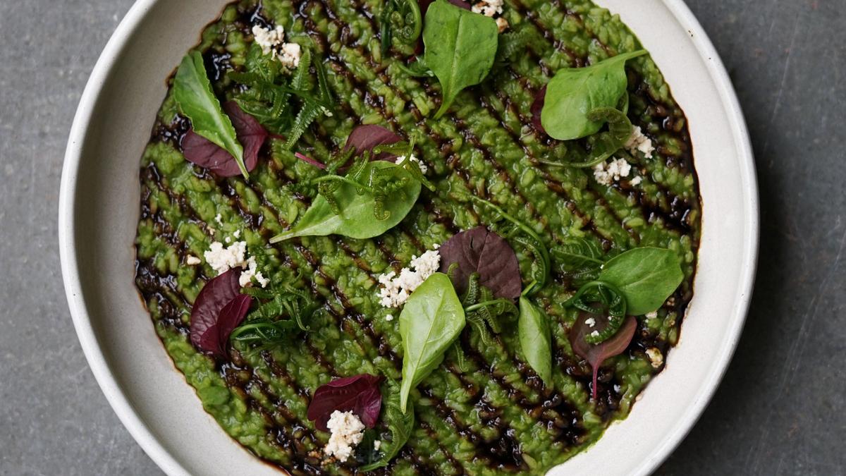 The Nilgiris Earth Festival begins from December 18