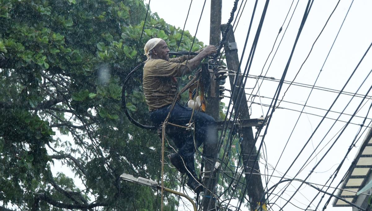 A KSEB worker repairing electric lines damaged by heavy rain and strong winds at Nellikode in Kozhikode on June 14.