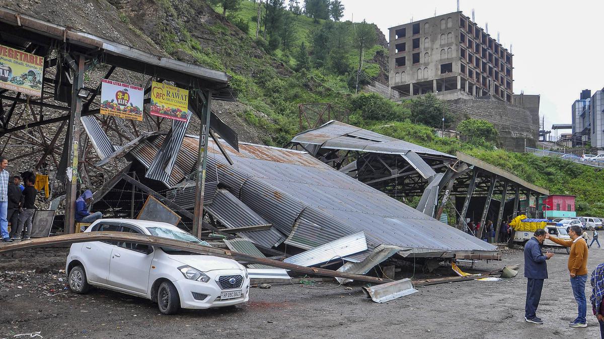 In Himachal Pradesh, rain every day keeps apples away from pink of health