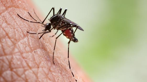 Over 400 fresh cases of dengue in Delhi, tally rises to 937