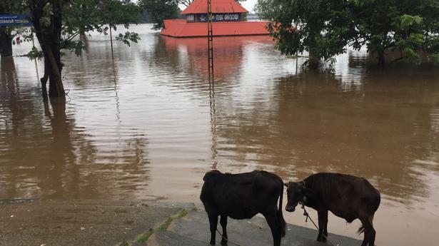 Relief camps opened as water levels rise in Periyar, Muvattupuzha Rivers