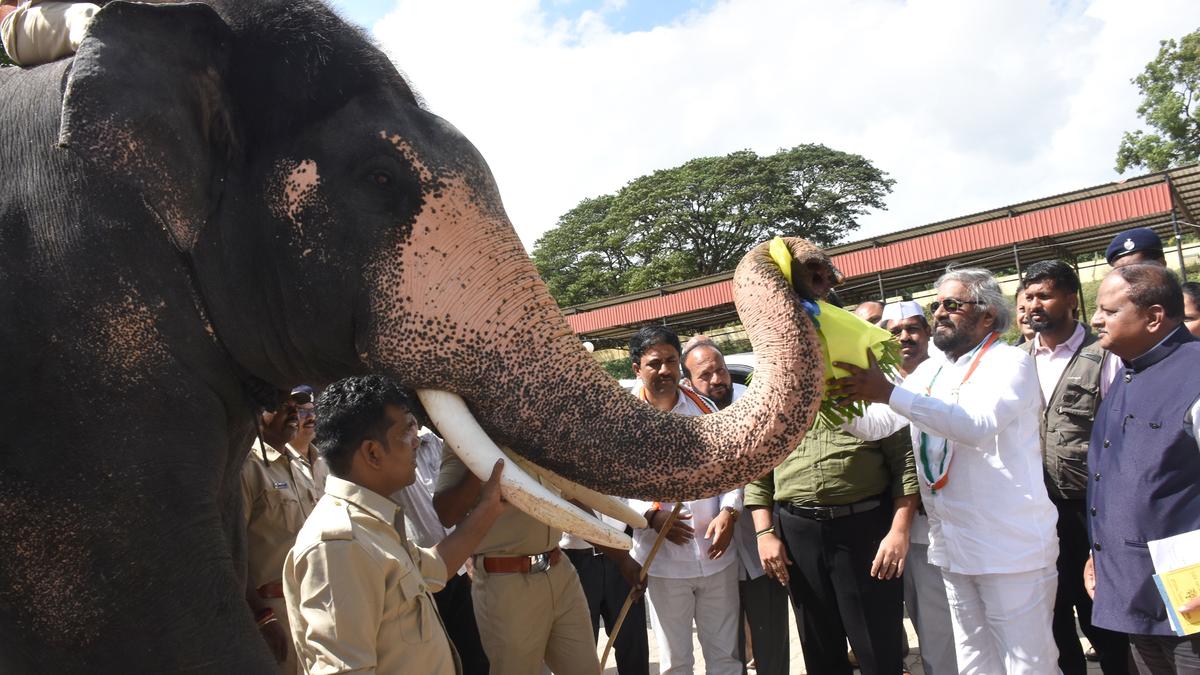 Commandos will guard Dasara elephants to keep the crowd at bay: Forest Minister Khandre