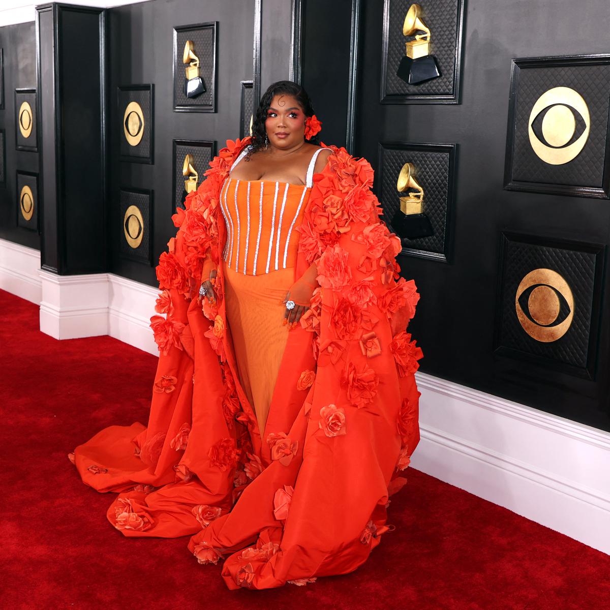 Red Carpet Looks from the Grammys - Formal Approach