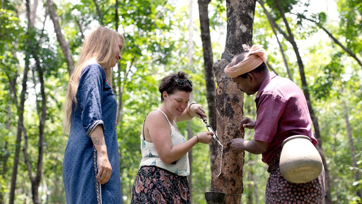 Tourists try to tap rubber under the guidance of an expert.  STREET, a  Kerala Tourism initiative will give visitors a feel of the traditional village life in chosen destinations