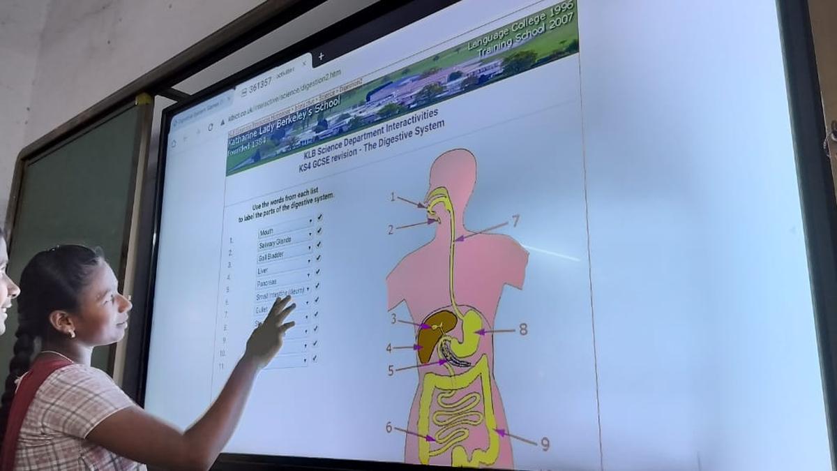 Simulations in Education: A Bridge to Unlocking Abstract Concepts