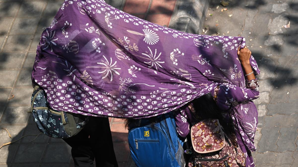 Mysuru braces for prolonged heatwave, no immediate rain relief in sight