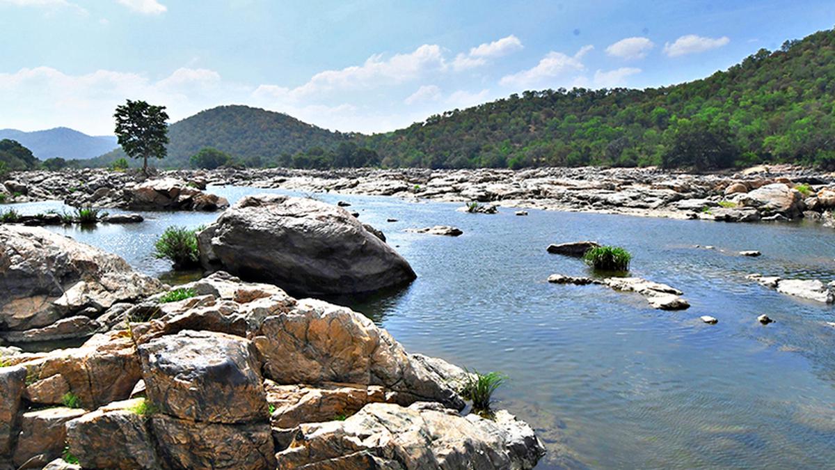 Tamil Nadu reiterates opposition to Karnataka’s proposal for a dam at Mekedatu