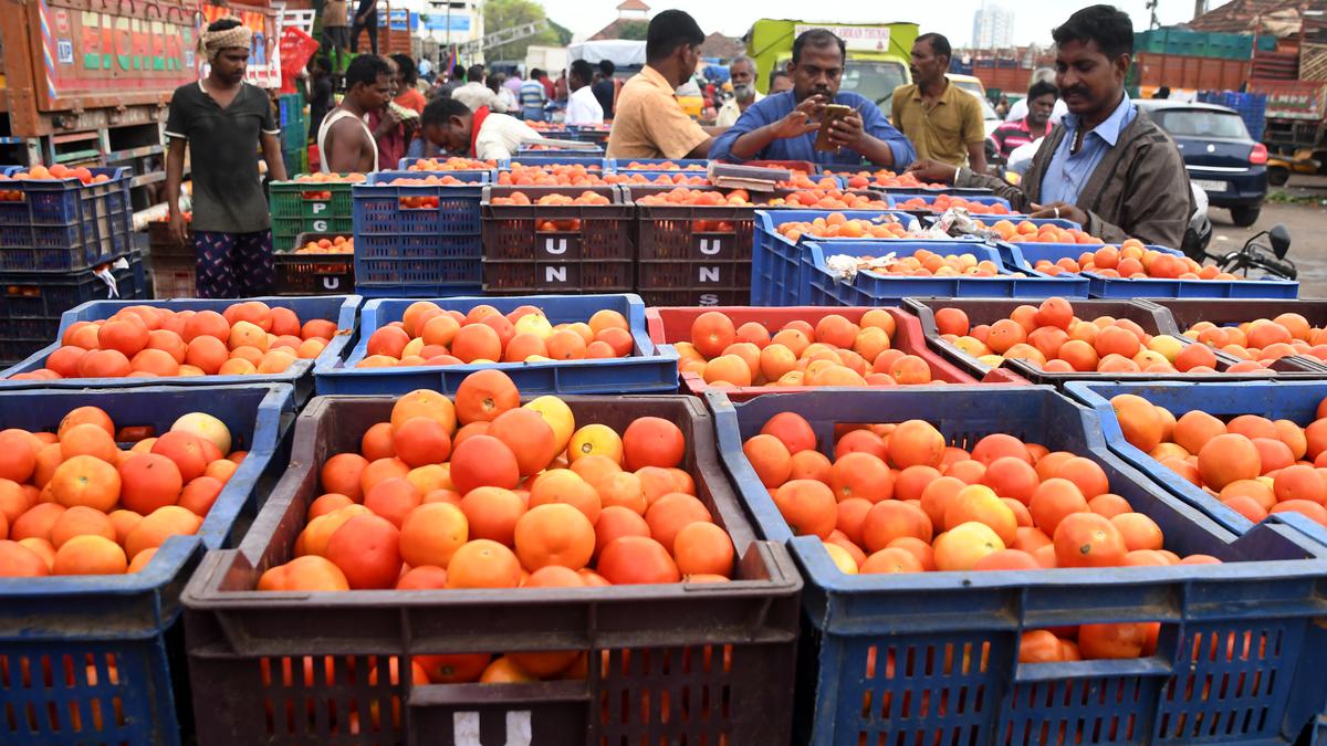 Tomato price went up by around 300% in a year in Tamil Nadu