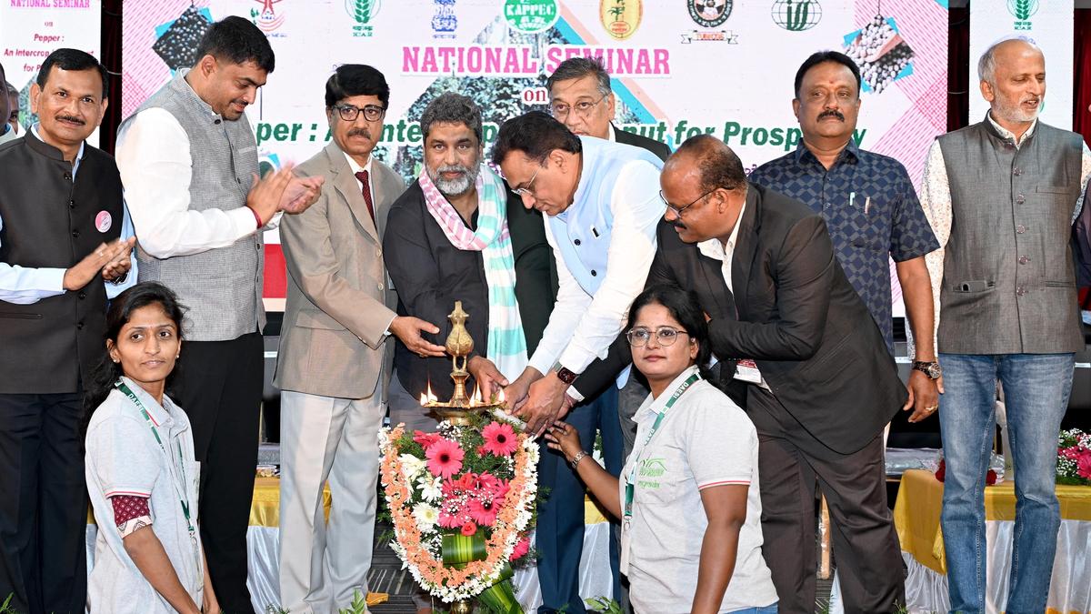 KAPPEC MD urges pepper growers to boost value through branding, exports