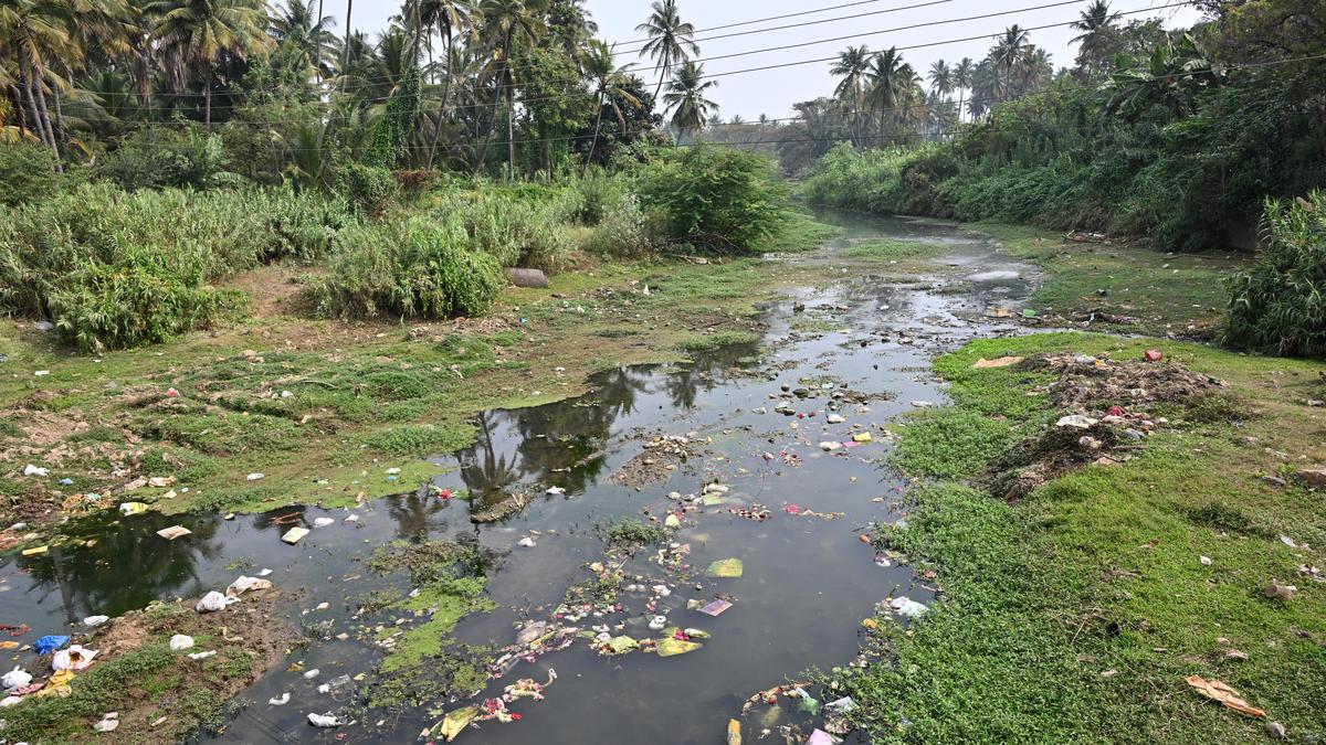 NGO seeks community action to save the Noyyal