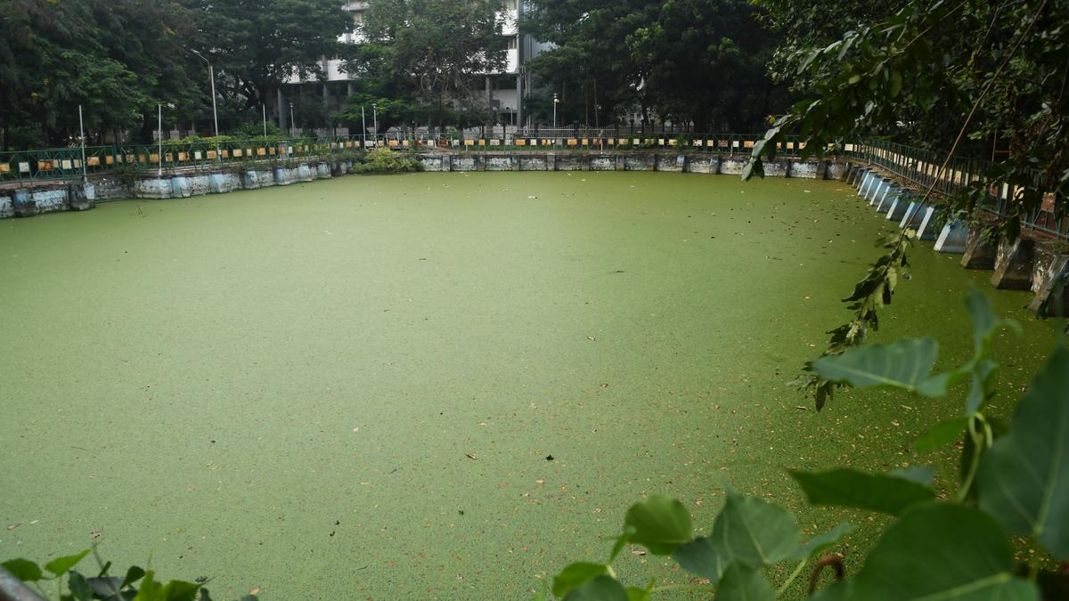 Plea to maintain, upgrade infrastructure at parks in Madurai The Hindu