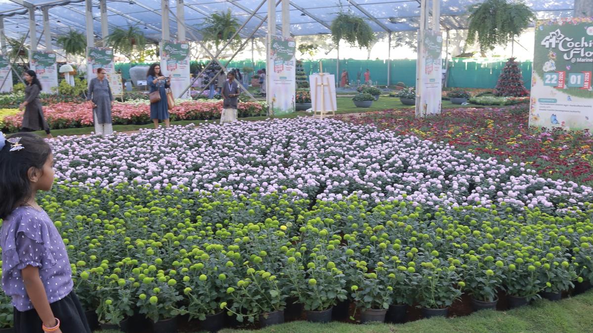 Cochin Flower show begins thumbnail