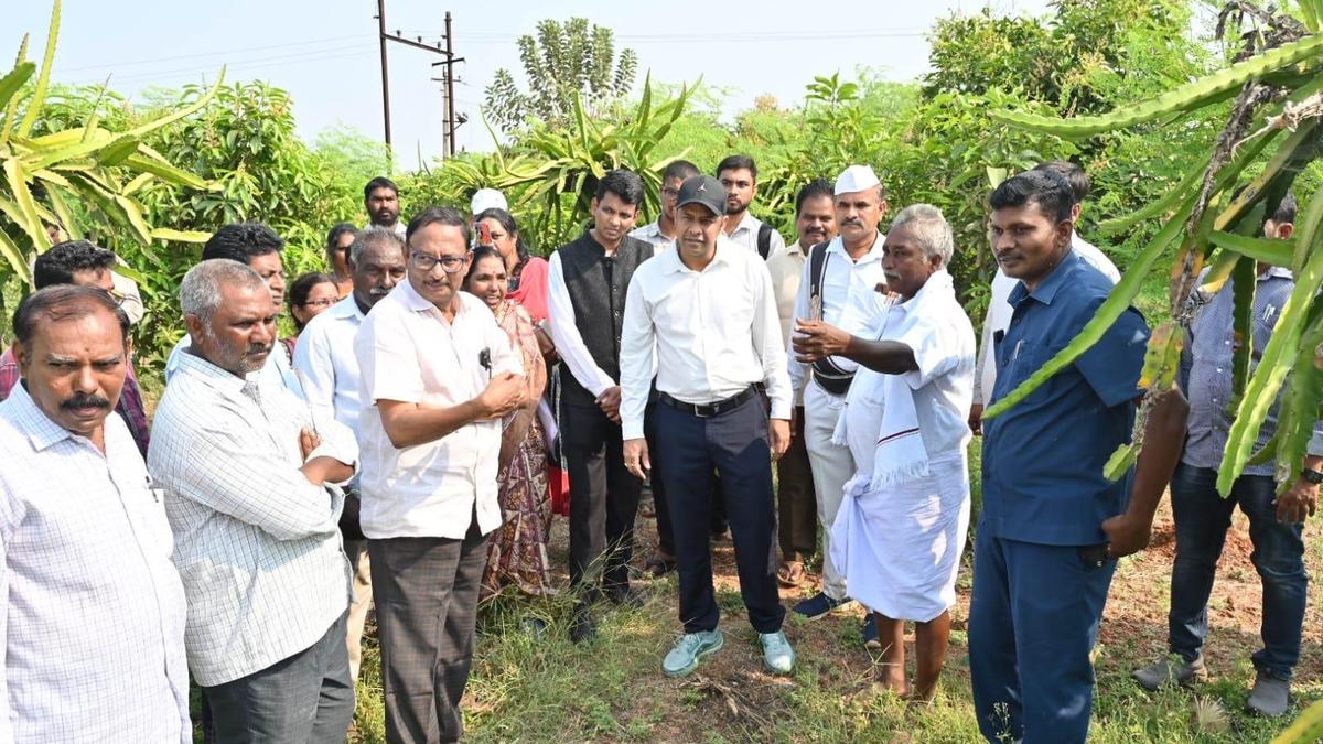Palle Veekshana to be held across 700 villages in Nellore district, says Collector
