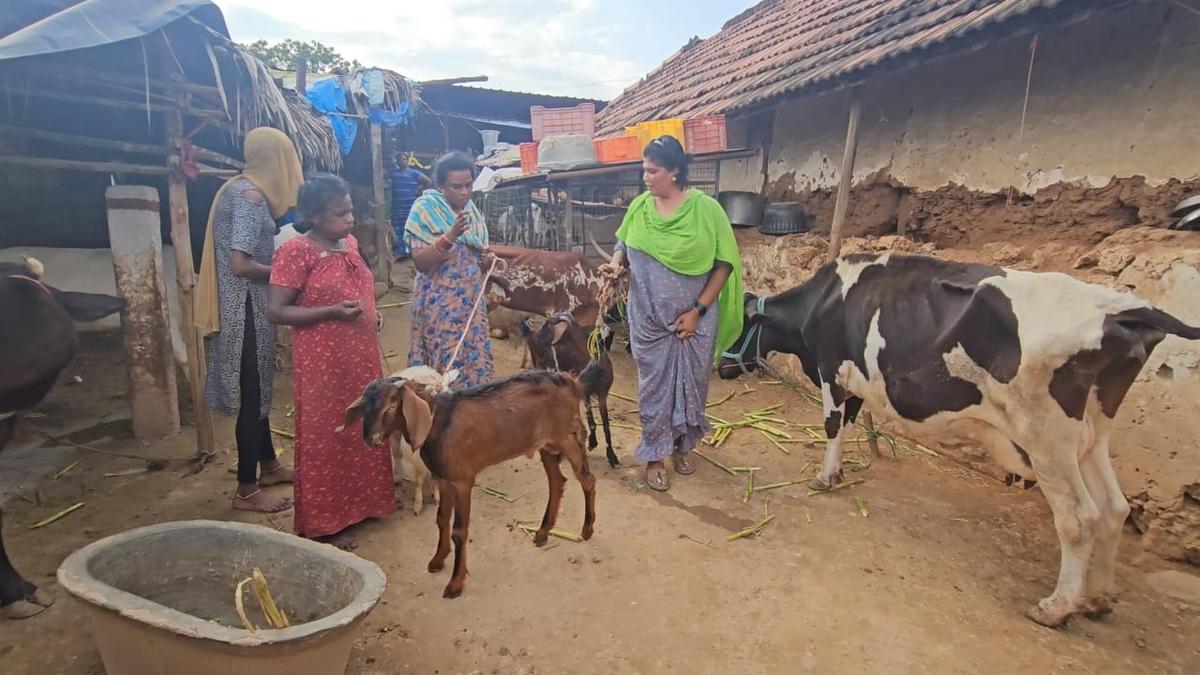 Where transgenders show the way for better livelihood in Coimbatore ...