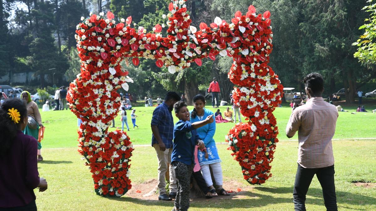 Tourism in the Nilgiris begins recovering following the pandemic lull