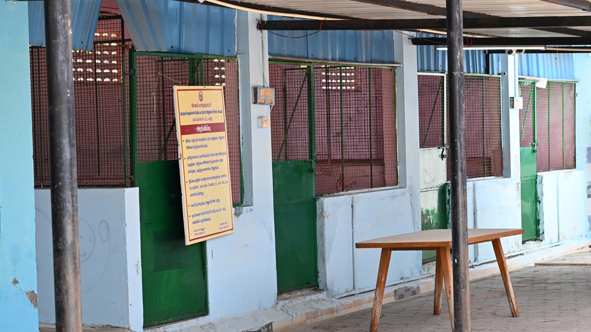 Doctor from Animal Husbandry Department to be part of ABC programme in Salem Corporation