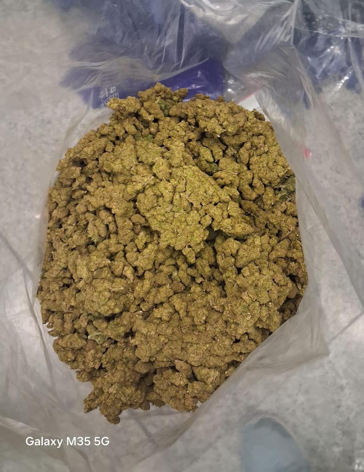 thehindu.com - The Hindu Bureau - Passenger held at RGIA with over 6 kg hydroponic marijuana worth ₹72.15 lakh