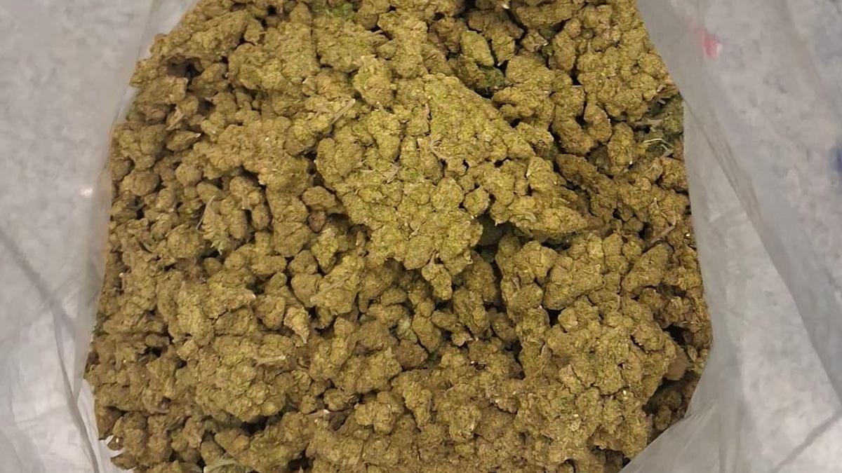 Passenger held at RGIA with over 6 kg hydroponic marijuana worth ₹72.15 lakh