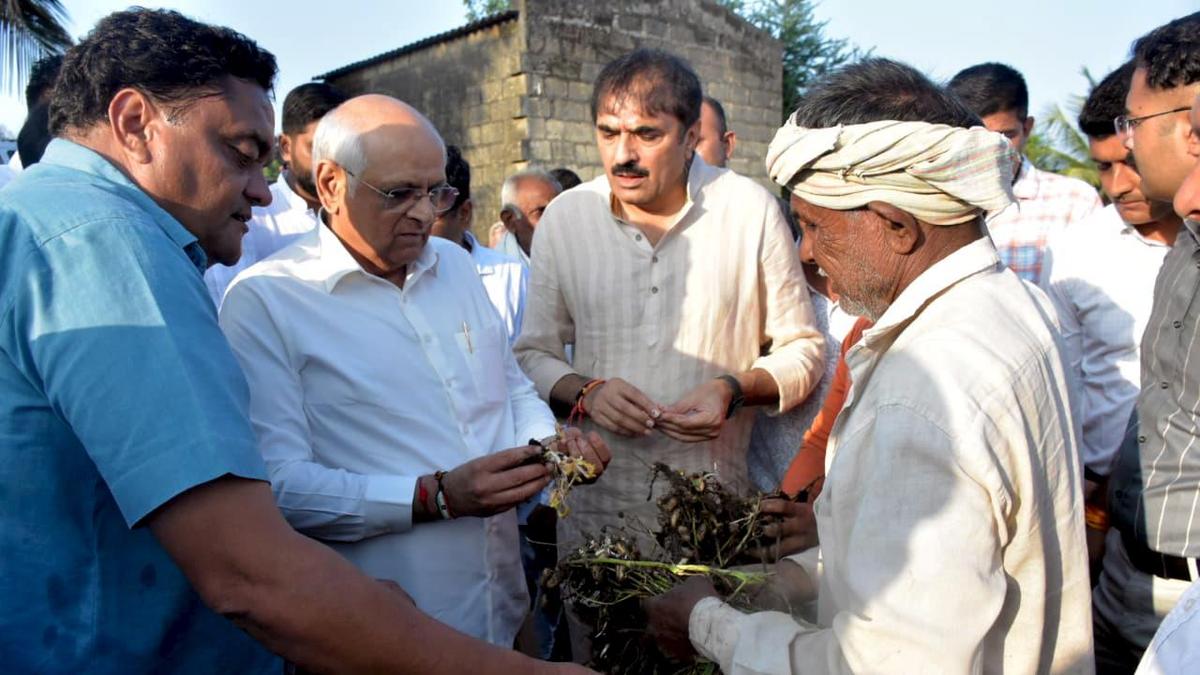 Gujarat CM announces ₹10,000 crore relief package for farmers affected by unseasonal rains