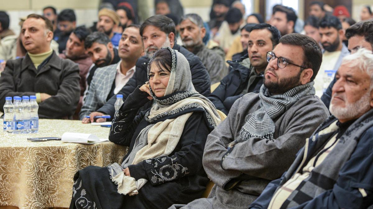 Youth share tales of harassment at PDP meet on why Kashmiri professionals are turning to violence