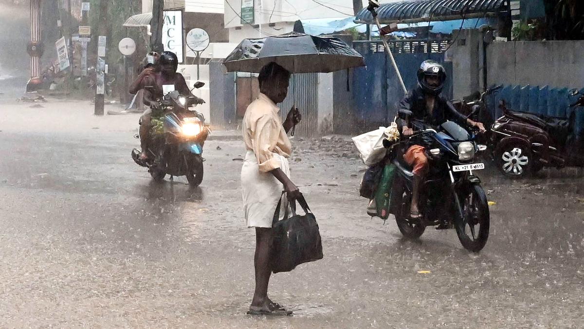 Kerala rains LIVE updates | Heavy rains prompt warnings, travel bans in many districts