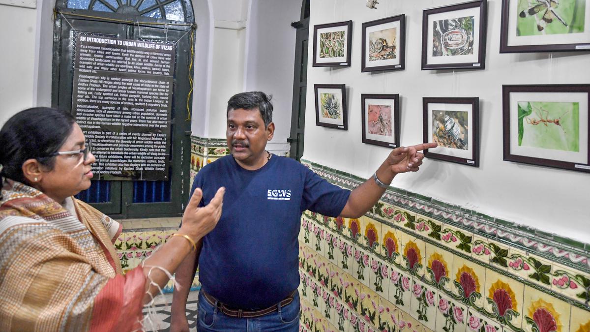 Art exhibition on urban wildlife begins in Visakhapatnam