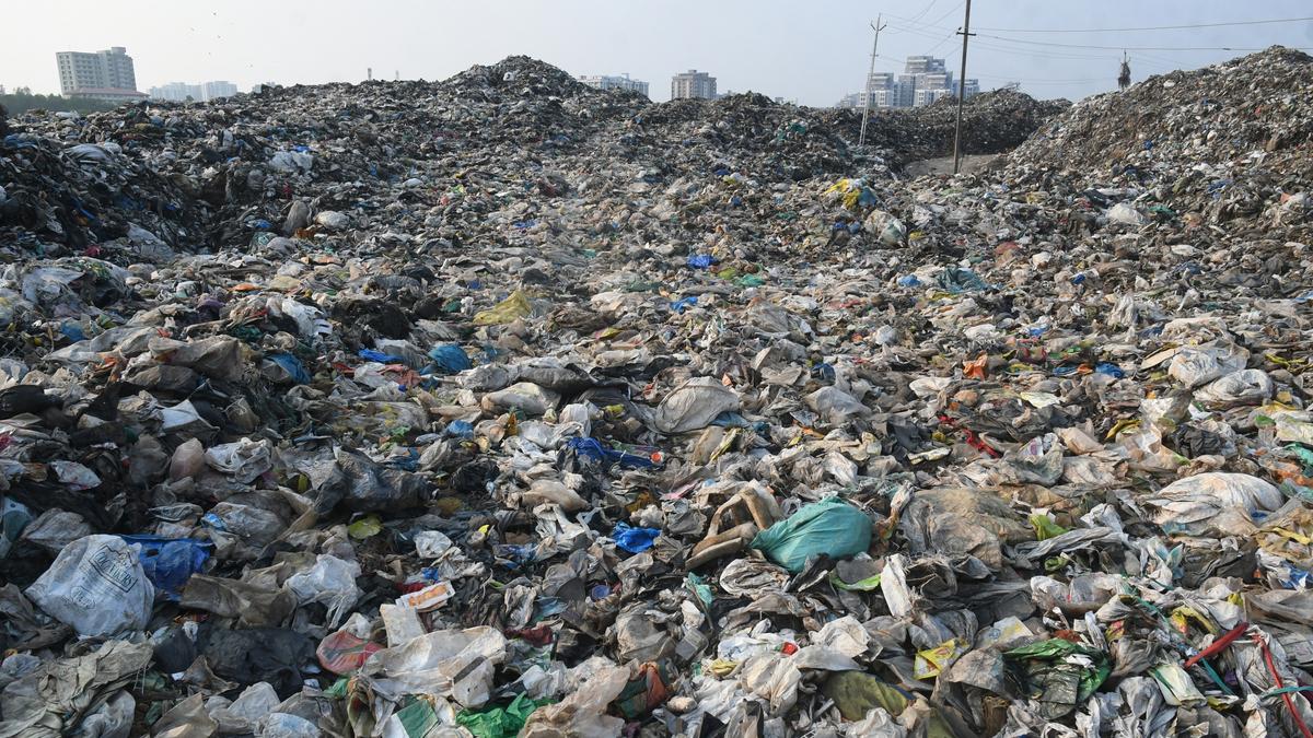 Firm treating waste using black soldier flies in Kochi to finetune production of biomanure to meet global standards