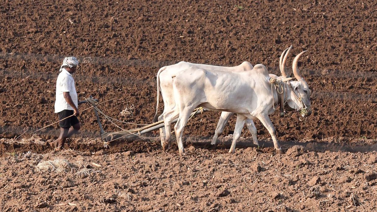 Officials trying to complete soil testing before onset of southwest monsoon in Andhra Pradesh