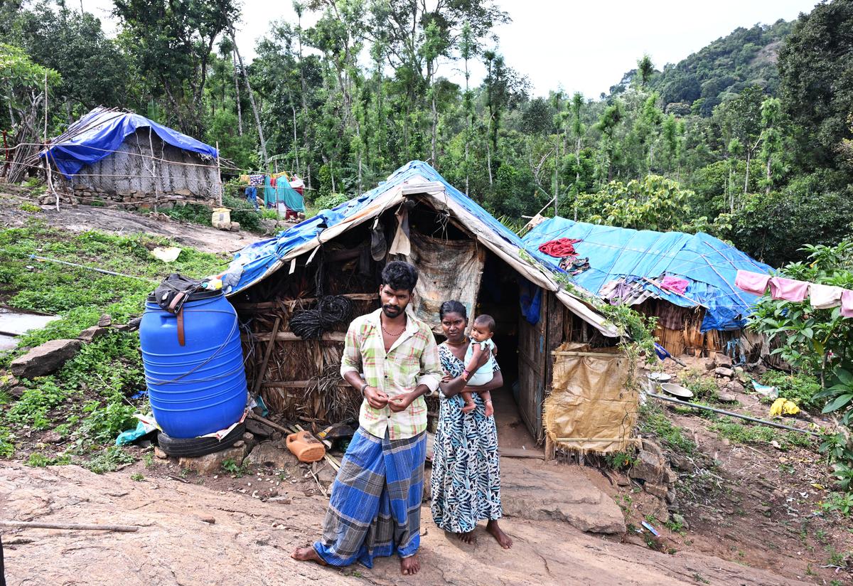 K. Kaleeswari, a tribal woman residing in a remote hamlet named Malaiayakadu on Kodaikanal hills, who gave birth to a baby girl in an ambulance.