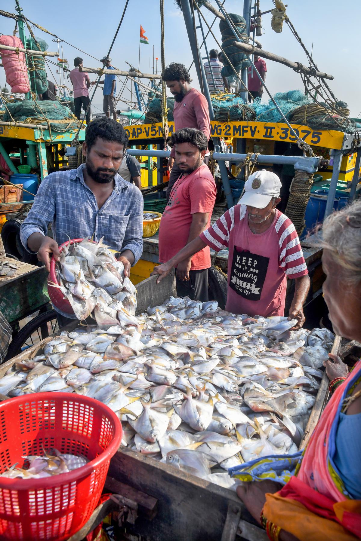Fishermen transporting the catch from the mechanised boats that returned from long voyage in deep seas with lifting of fishing ban at Fishing Harbour in Visakhapatnam 