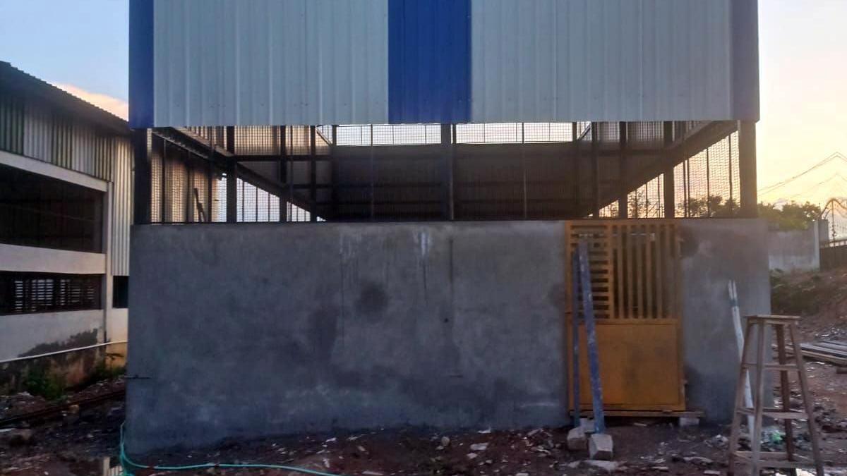 Shelters to be set up in Tiruchi to relocate stray dogs