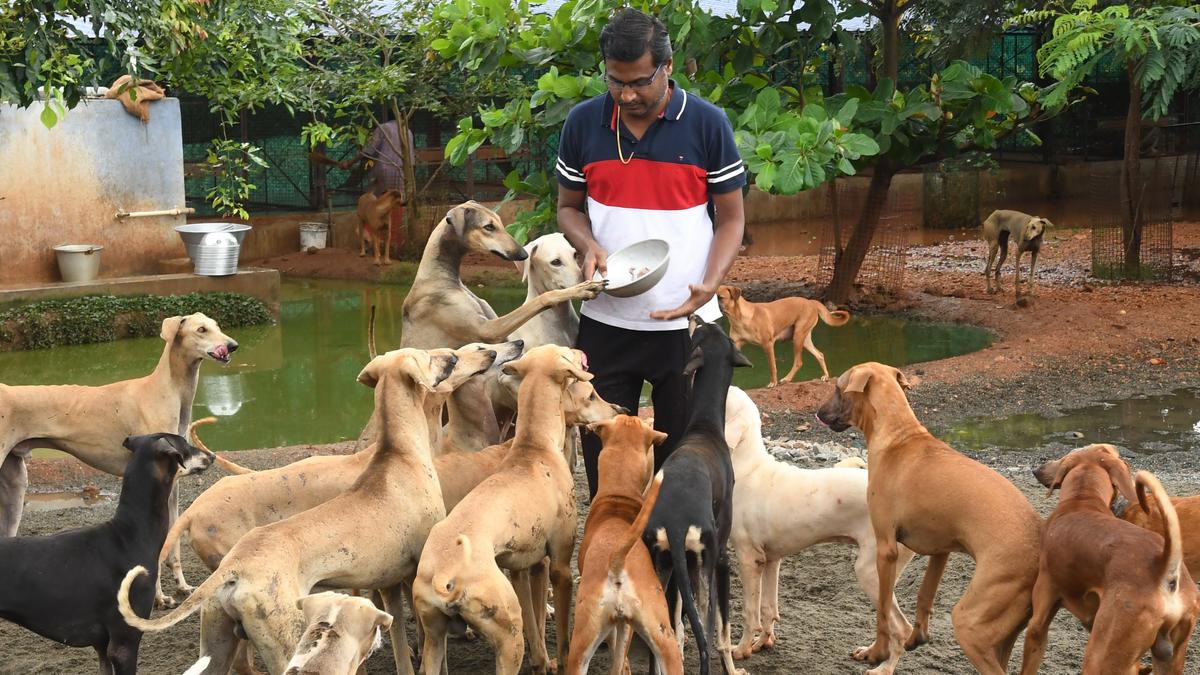 Usilampatti man owning 100 native dog breeds bags ‘Breed Conservation