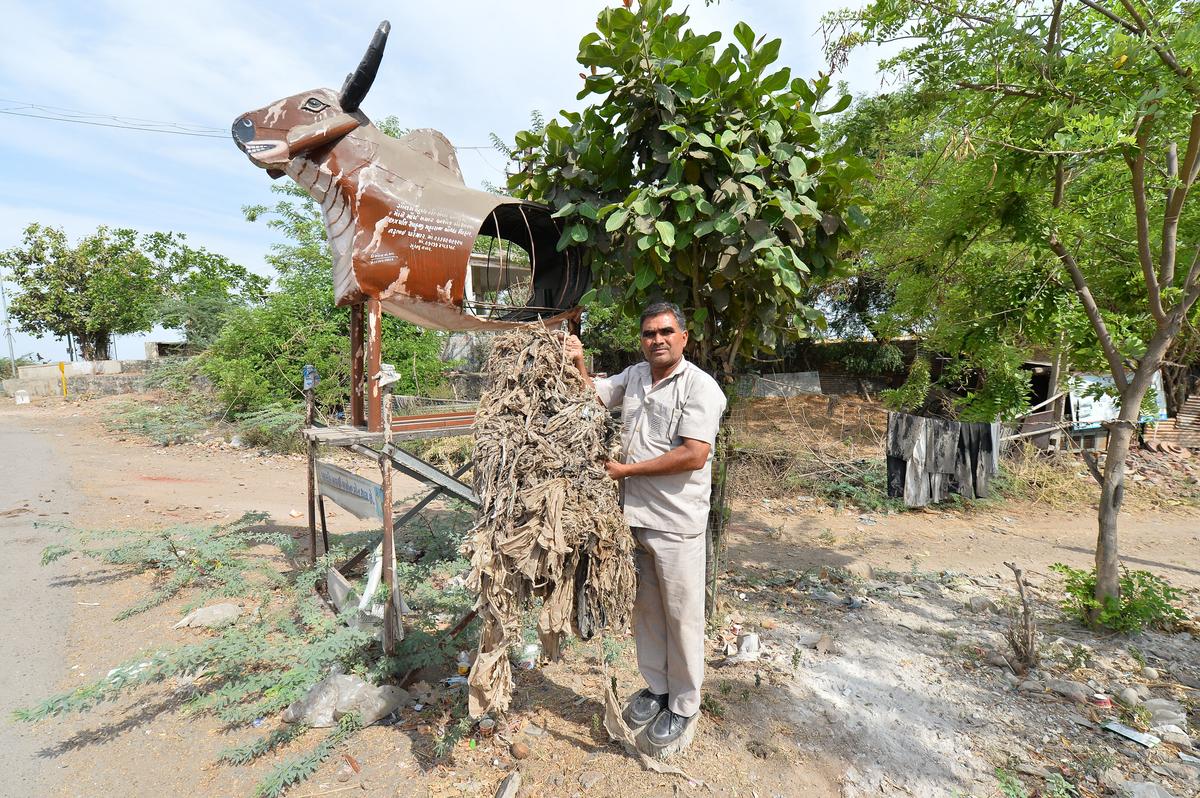 Nattubhai Parmar, an activist with non-profit Navsarjan, shows the mound of plastics extracted from cow’s stomachs at Wadhwan, Surendranagar.