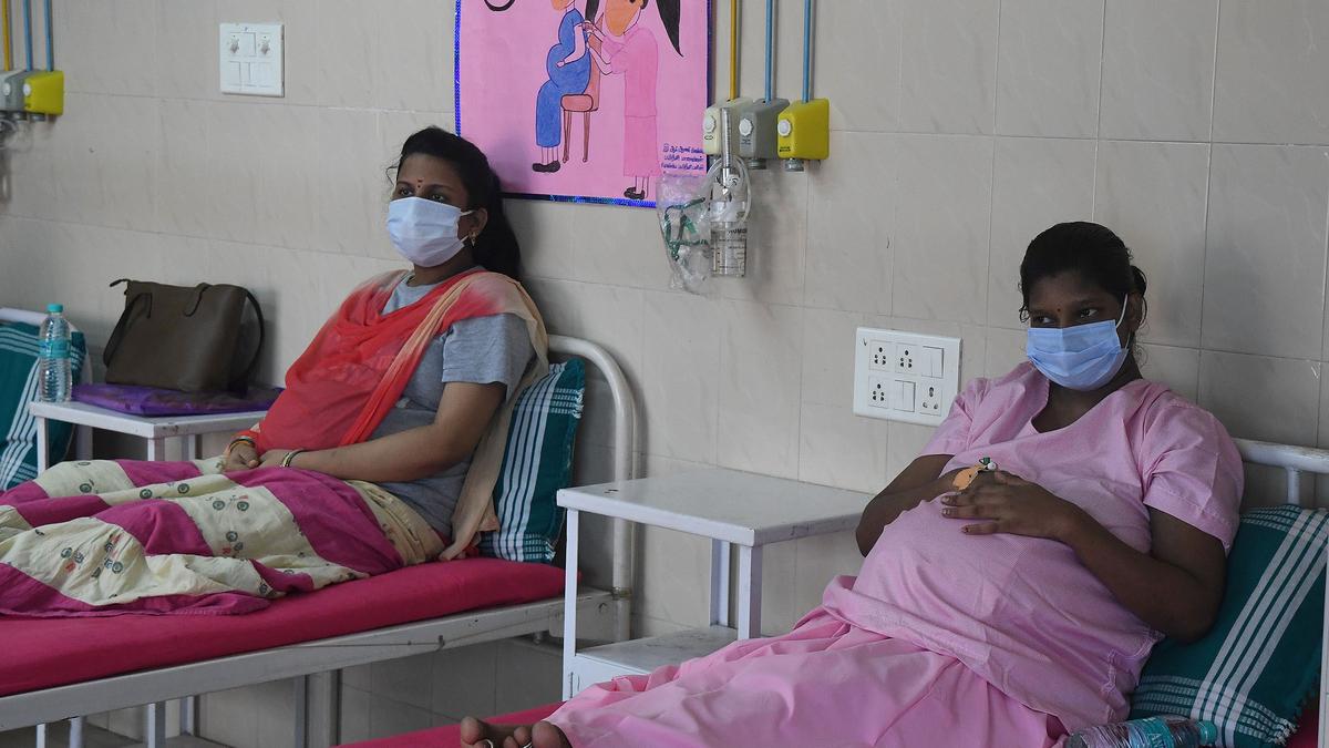 High-risk pregnant women must be referred to higher health facilities, PHCs in T.N. told