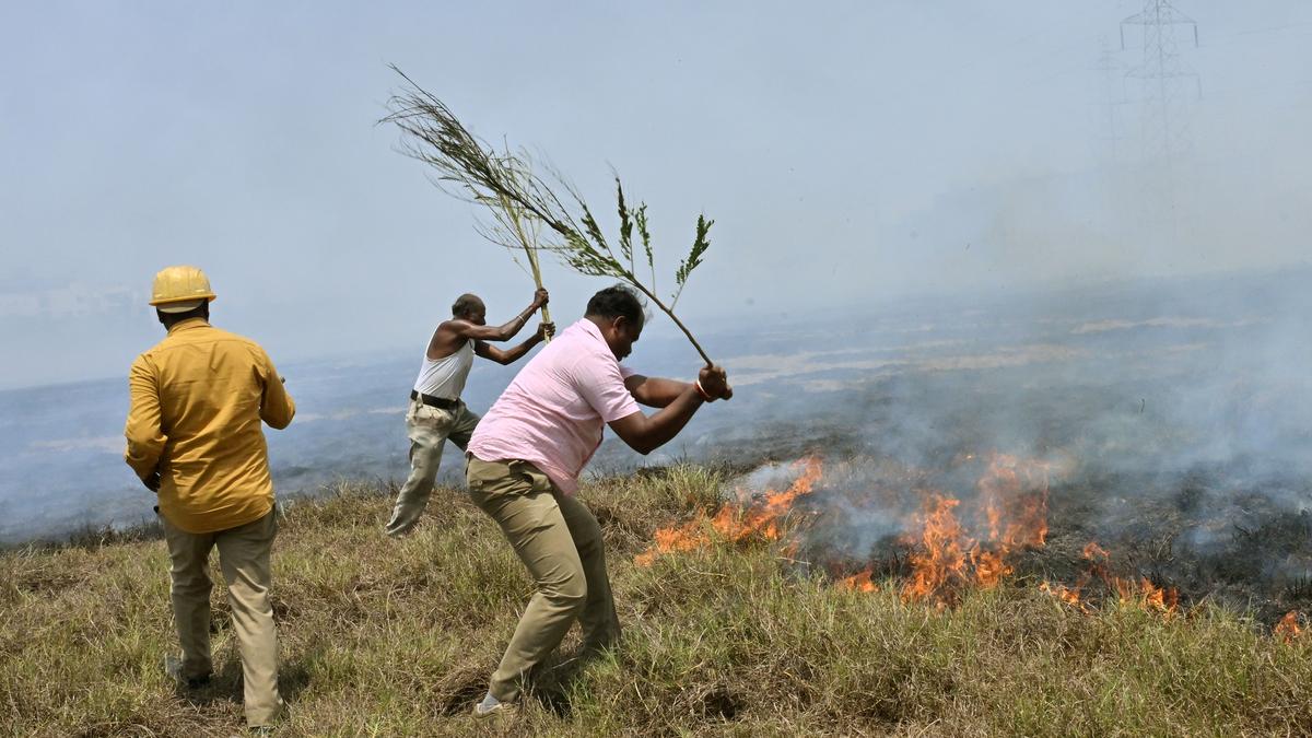 Perumbakkam wetland catches fire twice over the past two days